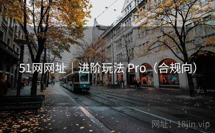 51网网址｜进阶玩法 Pro（合规向）