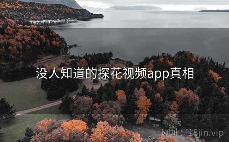 没人知道的探花视频app真相